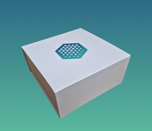 LAROsense Box geschlossen